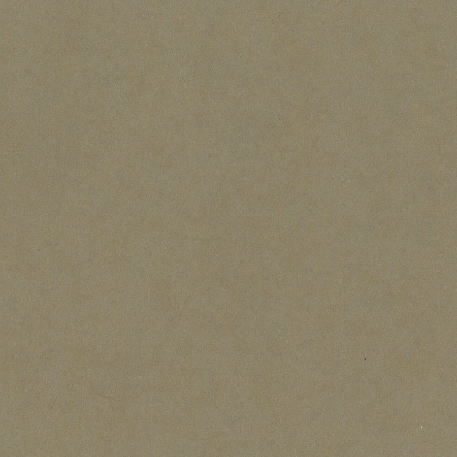 Bazzill Card Shoppe Heavyweight Cardstock 12"X12"-Select Style