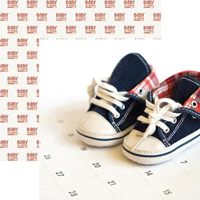 Reminisce Bump to Baby - Calendar