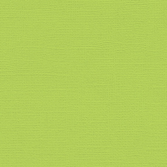 My Colors Canvas 80lb Cover Weight Cardstock 12"X12"-Select Style