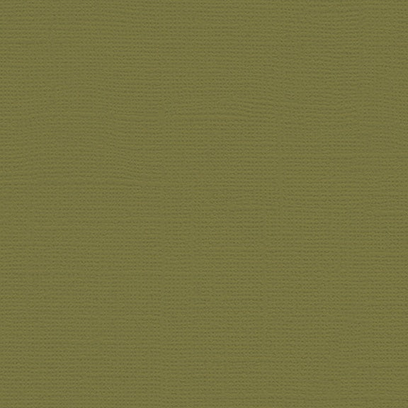 My Colors Canvas 80lb Cover Weight Cardstock 12"X12"-Select Style