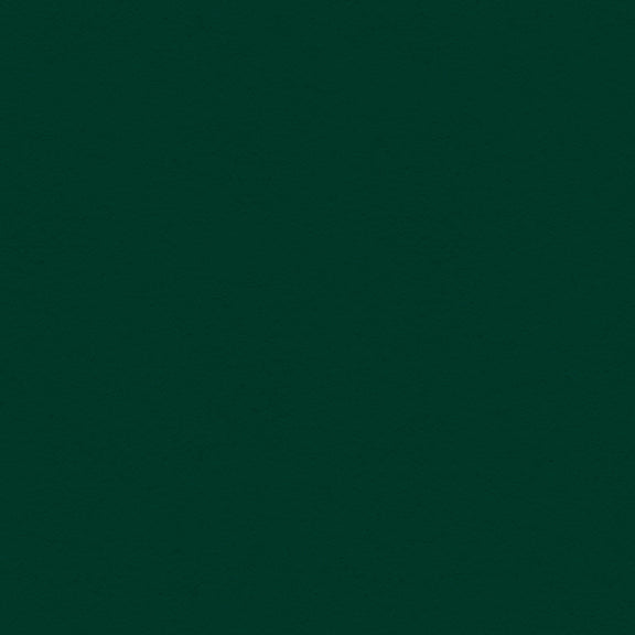 My Colors Classic 80lb Cover Weight Cardstock 12"X12"-Forest Green