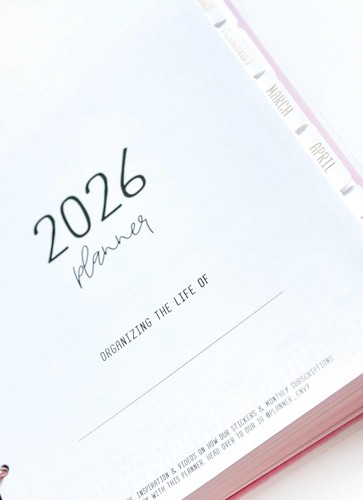 2026 Planner - Signature Layout, Disc Bound - "Candy stripe" (#807)