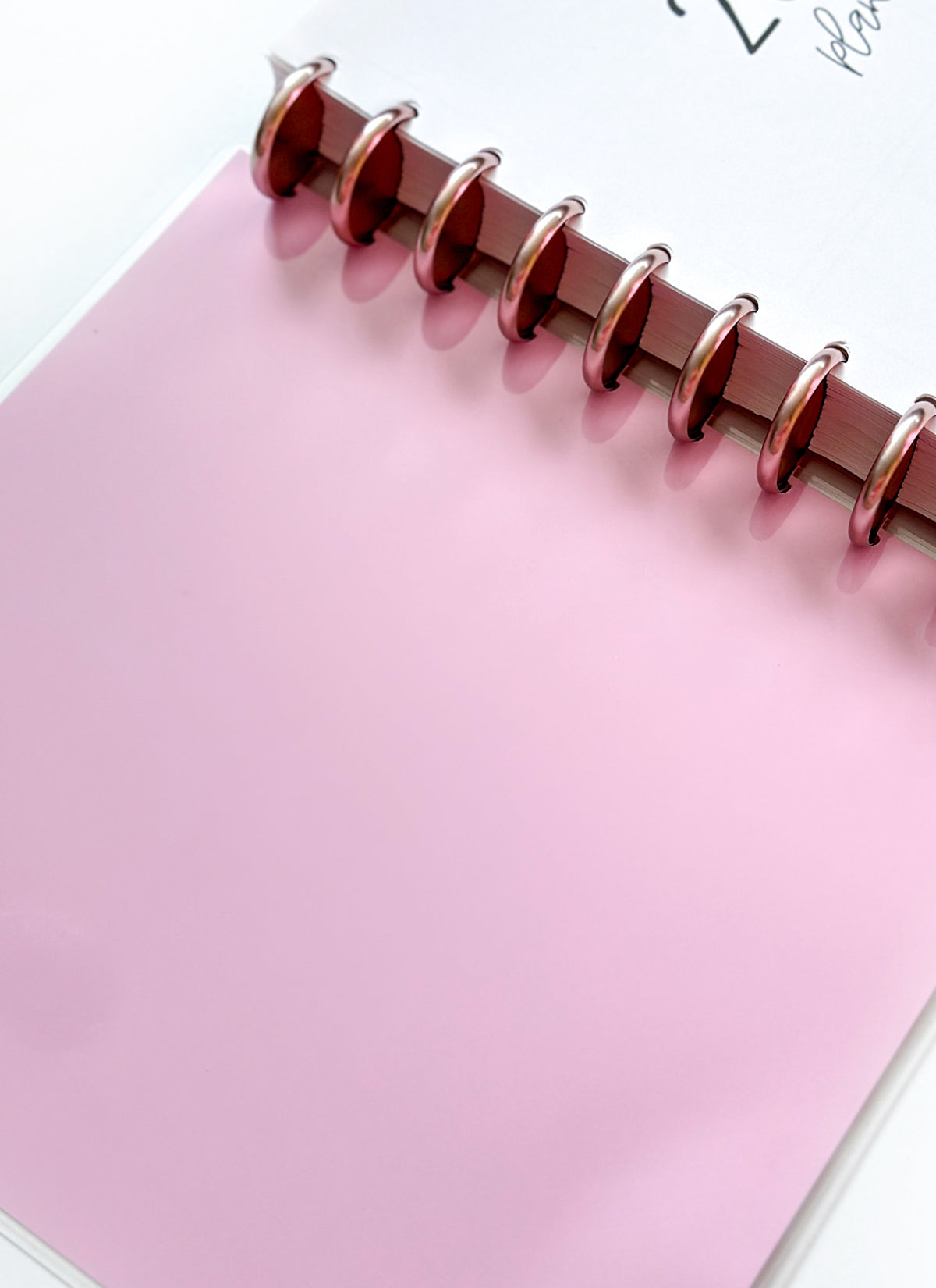 2026 Planner - Vertical Layout, Disc Bound - "Candy stripe" (#907)