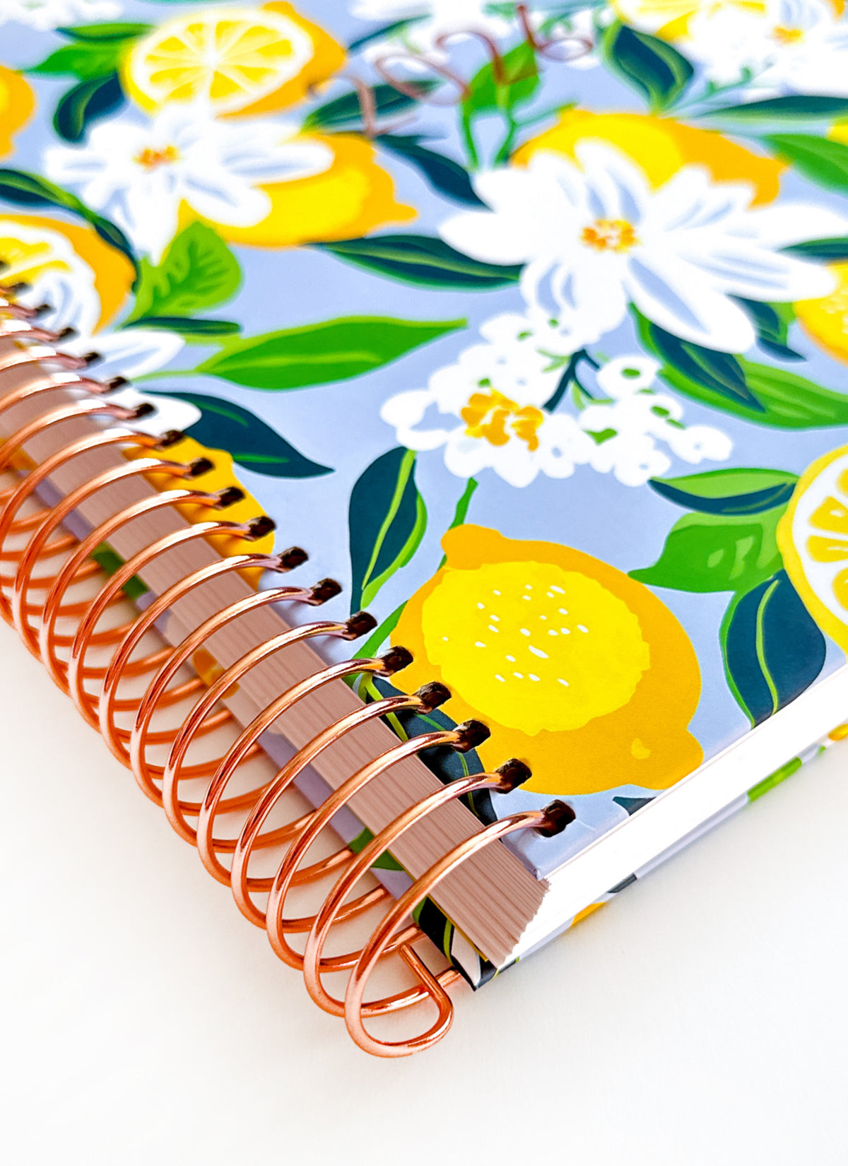 2026 Planner - Signature Layout, Spiral Bound - "Sorrento" (#201)