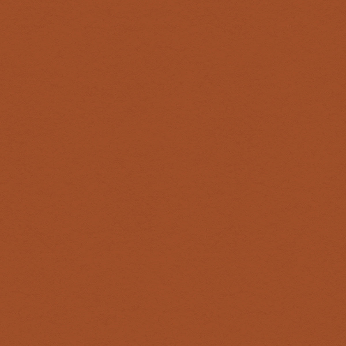 My Colors Classic 80lb Cover Weight Cardstock 12"X12"-Ginger