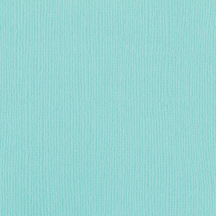 Bazzill Mono Cardstock 12"X12"- Select Style