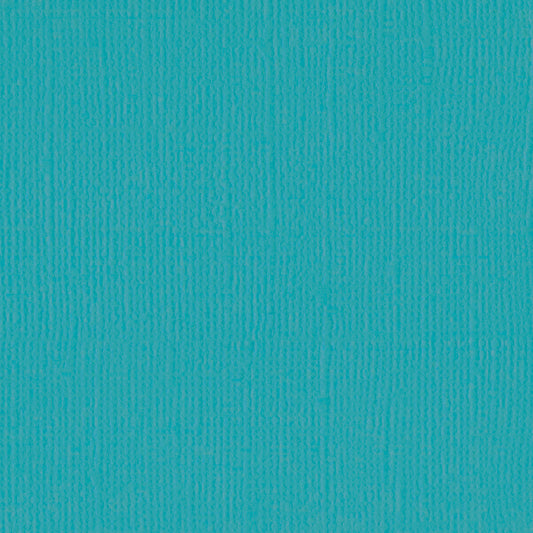 Bazzill Mono Cardstock 12"X12"- Select Style