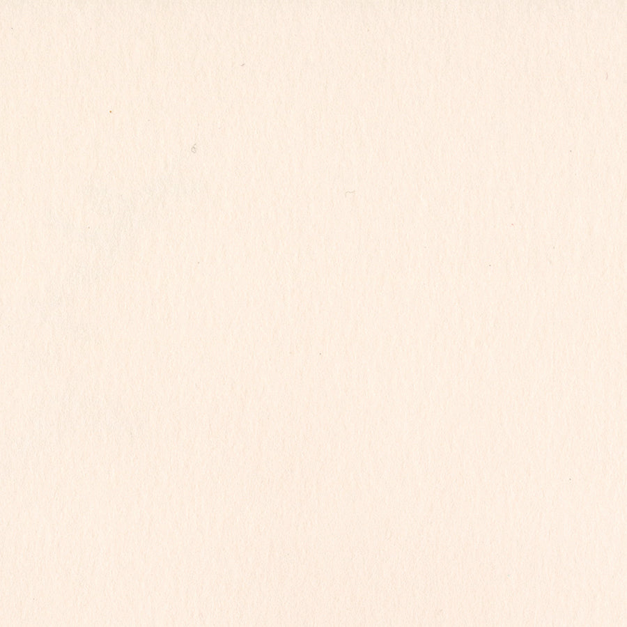 Bazzill Card Shoppe Heavyweight Cardstock 12"X12"-Select Style