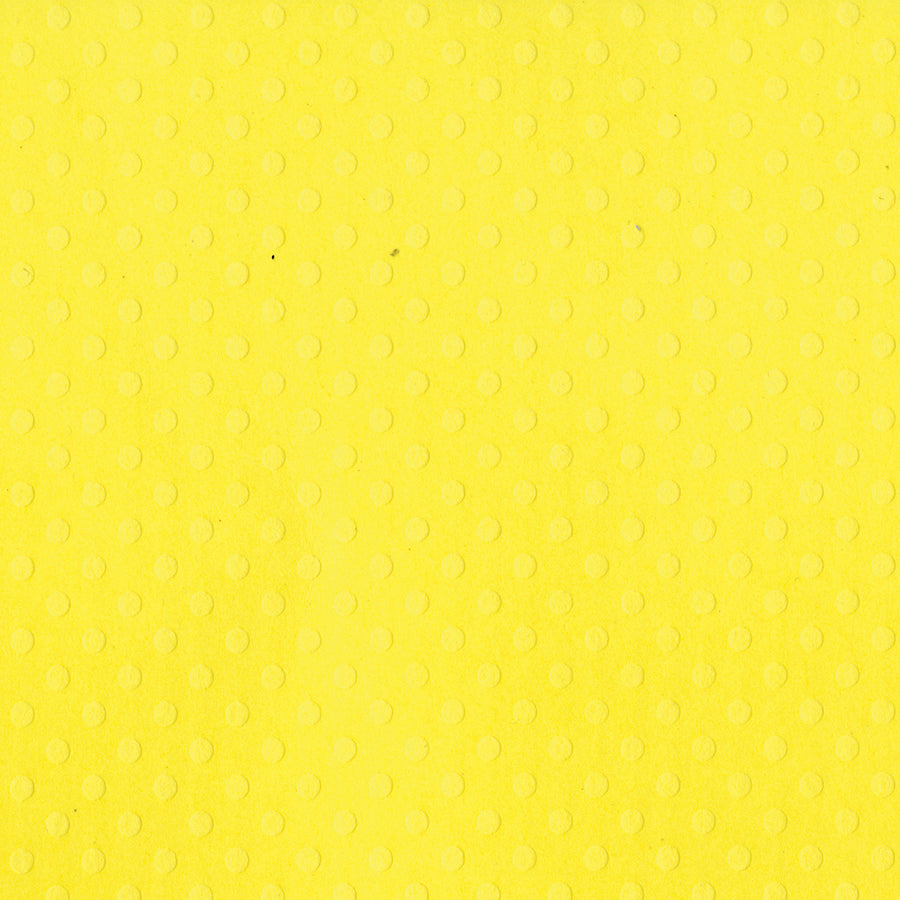 Bazzill Dotted Swiss Cardstock 12"X12"-Select Style