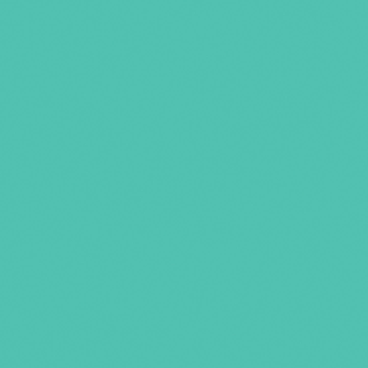 Bazzill Card Shoppe Heavyweight Cardstock 12"X12"-Select Style