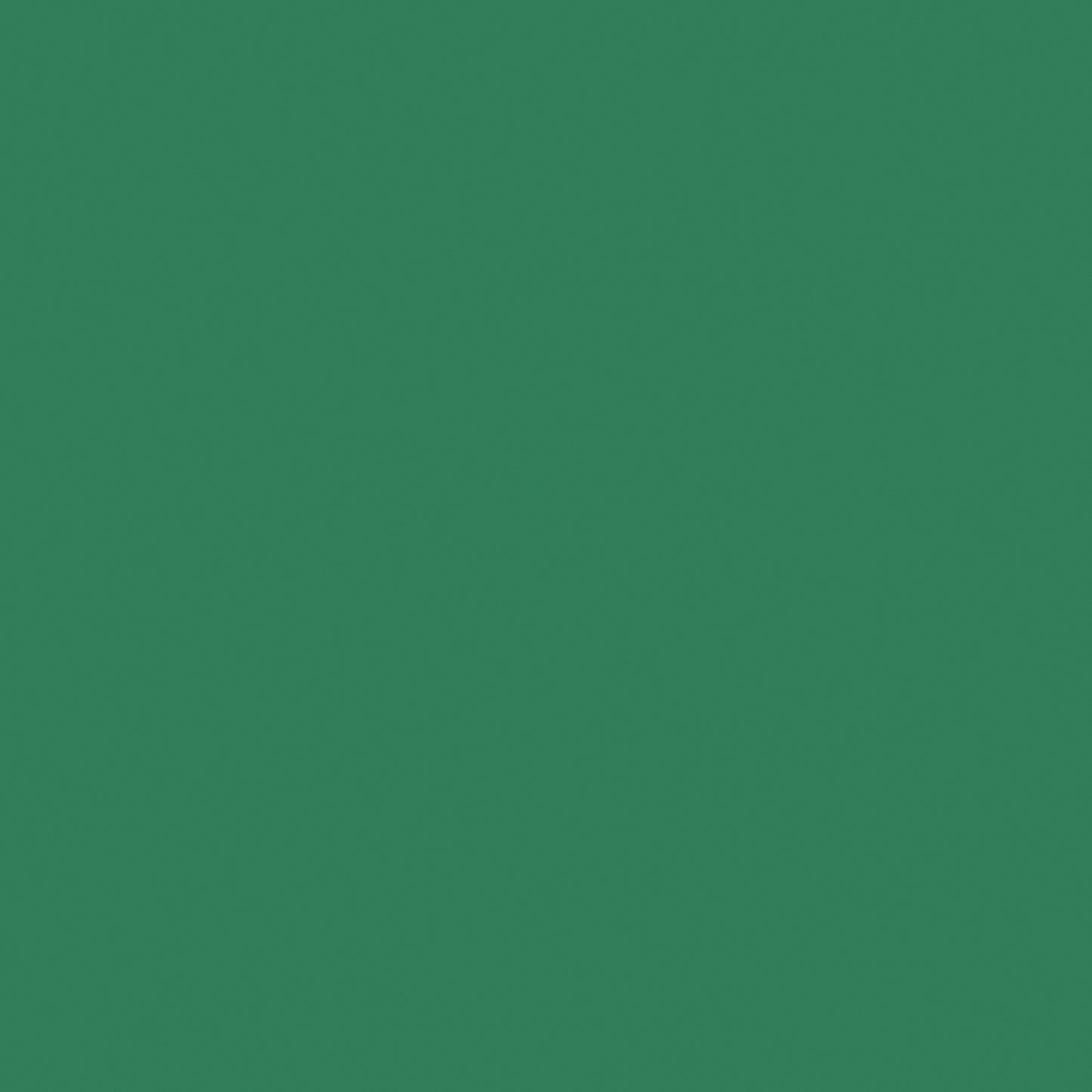 Bazzill Card Shoppe Heavyweight Cardstock 12"X12"-Select Style
