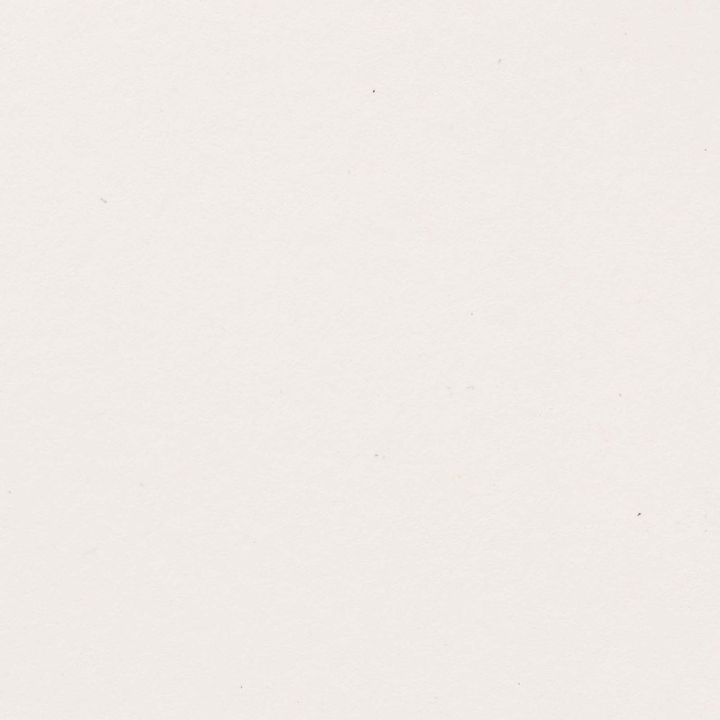 Bazzill Speckle Cardstock 12"X12"- Select Style