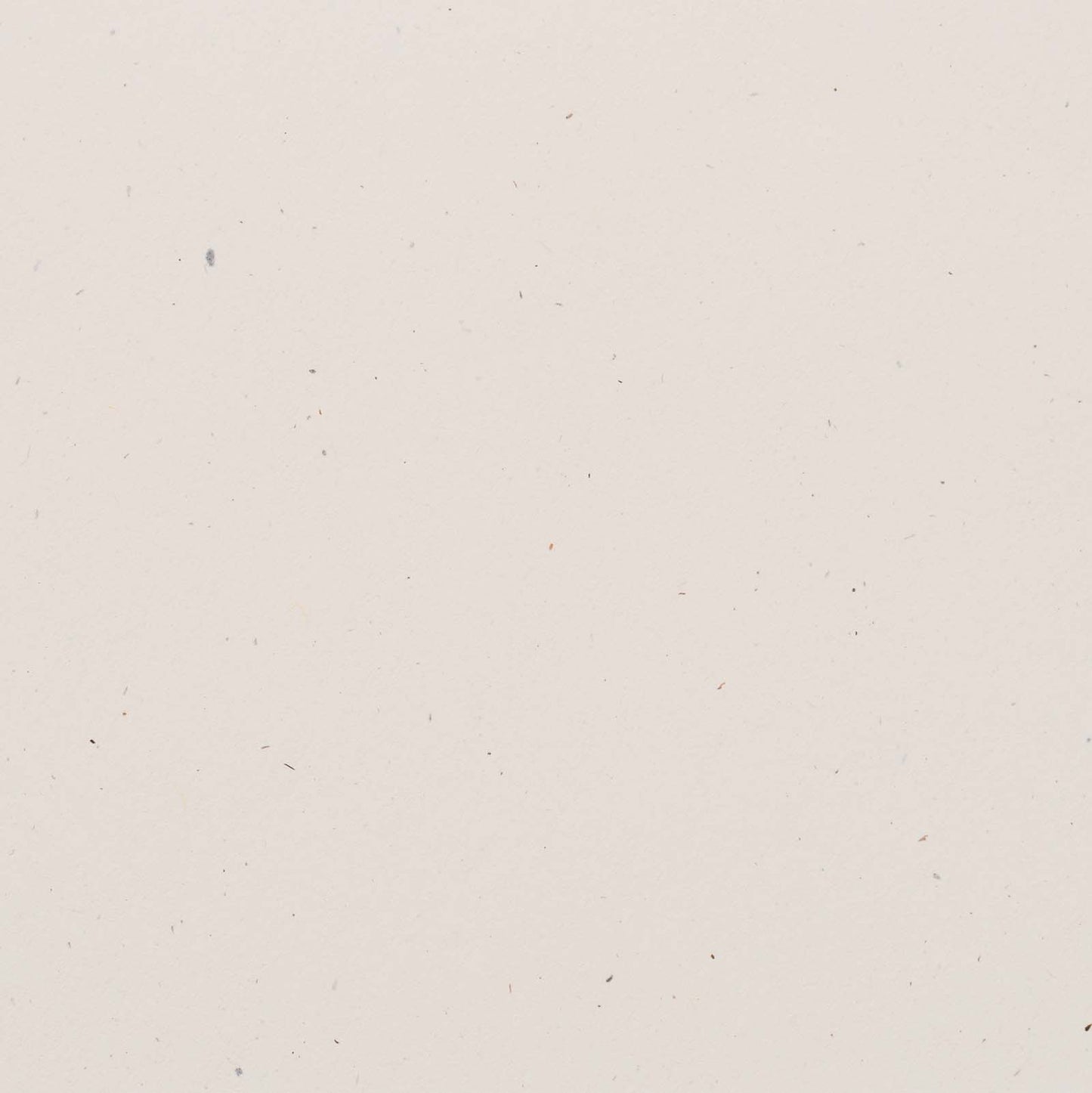 Bazzill Speckle Cardstock 12"X12"- Select Style