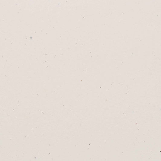 Bazzill Speckle Cardstock 12"X12"- Select Style