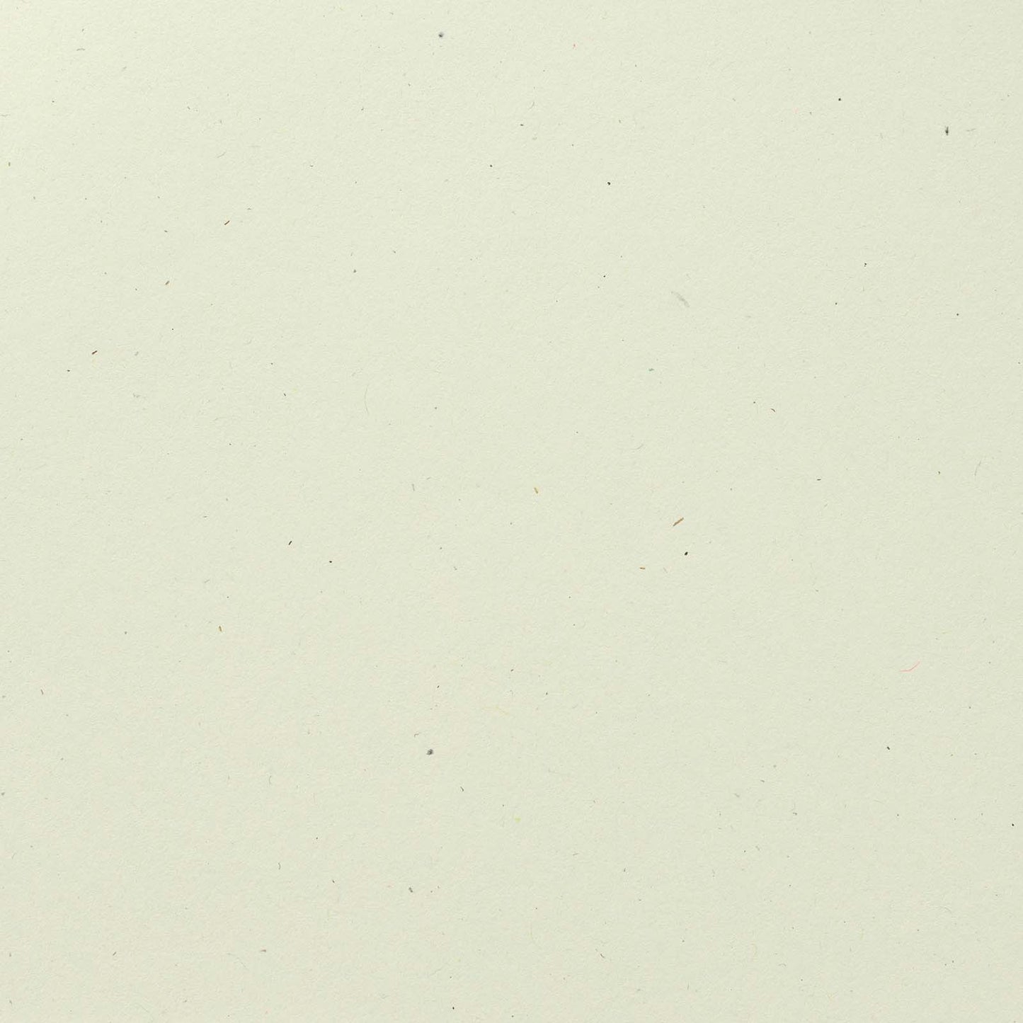 Bazzill Speckle Cardstock 12"X12"- Select Style