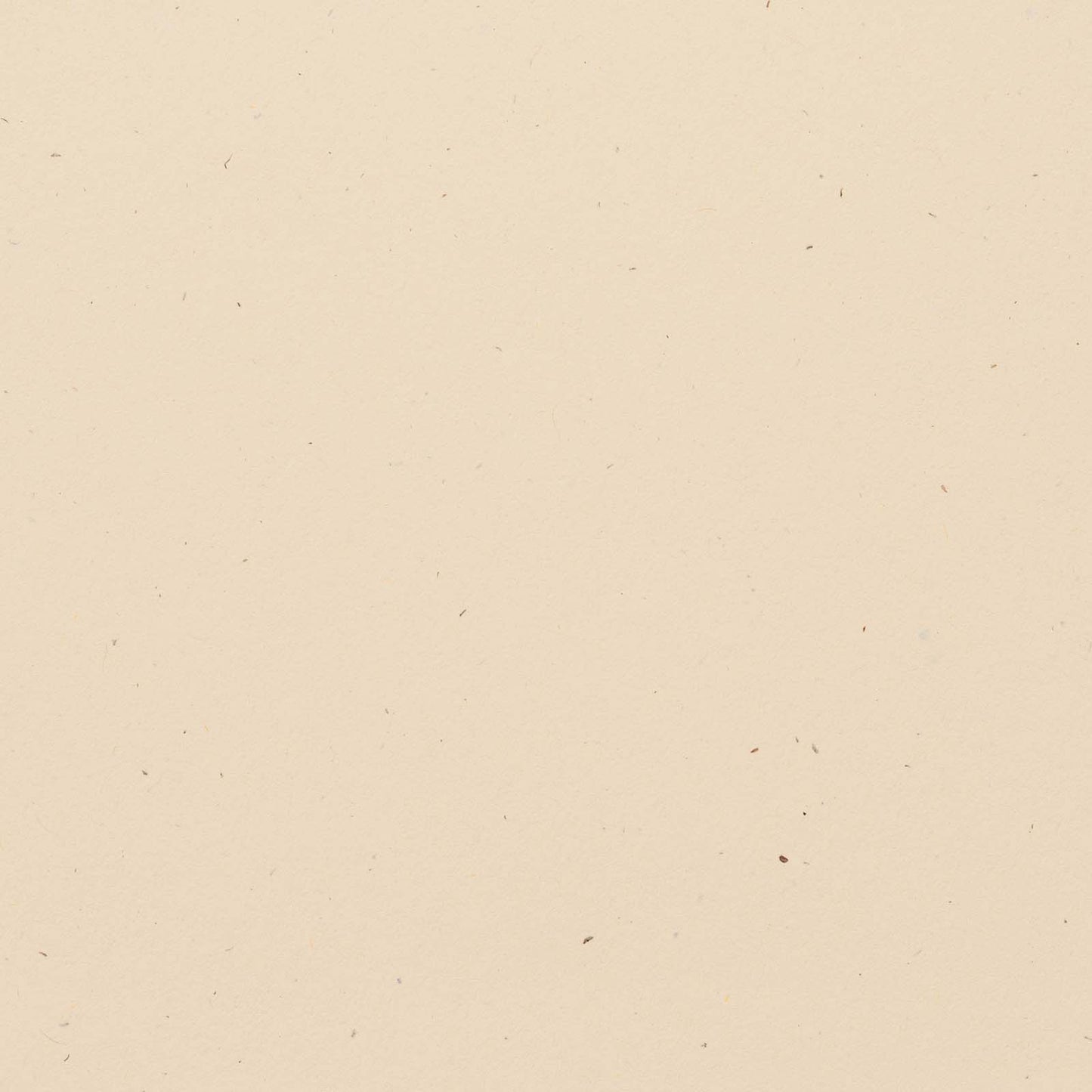 Bazzill Speckle Cardstock 12"X12"- Select Style