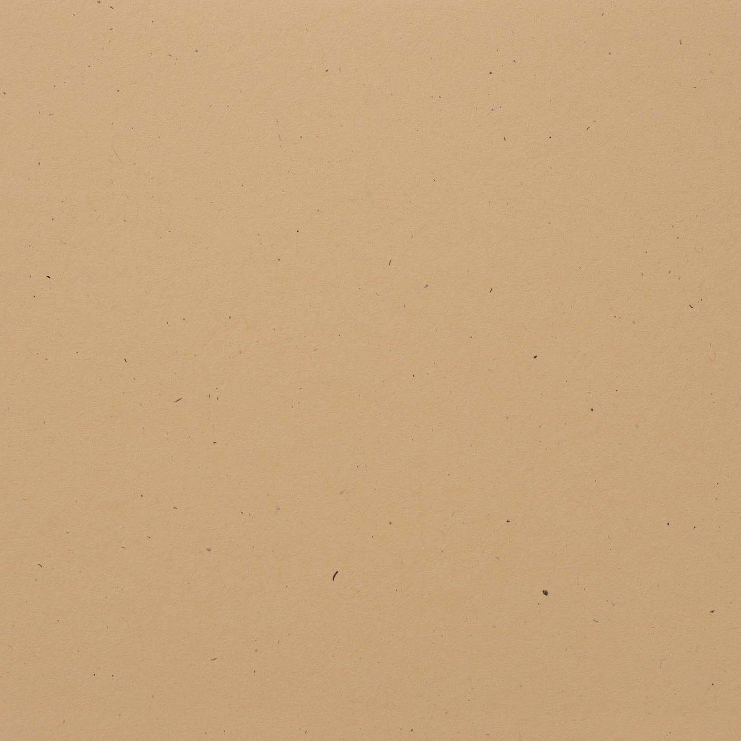 Bazzill Speckle Cardstock 12"X12"- Select Style