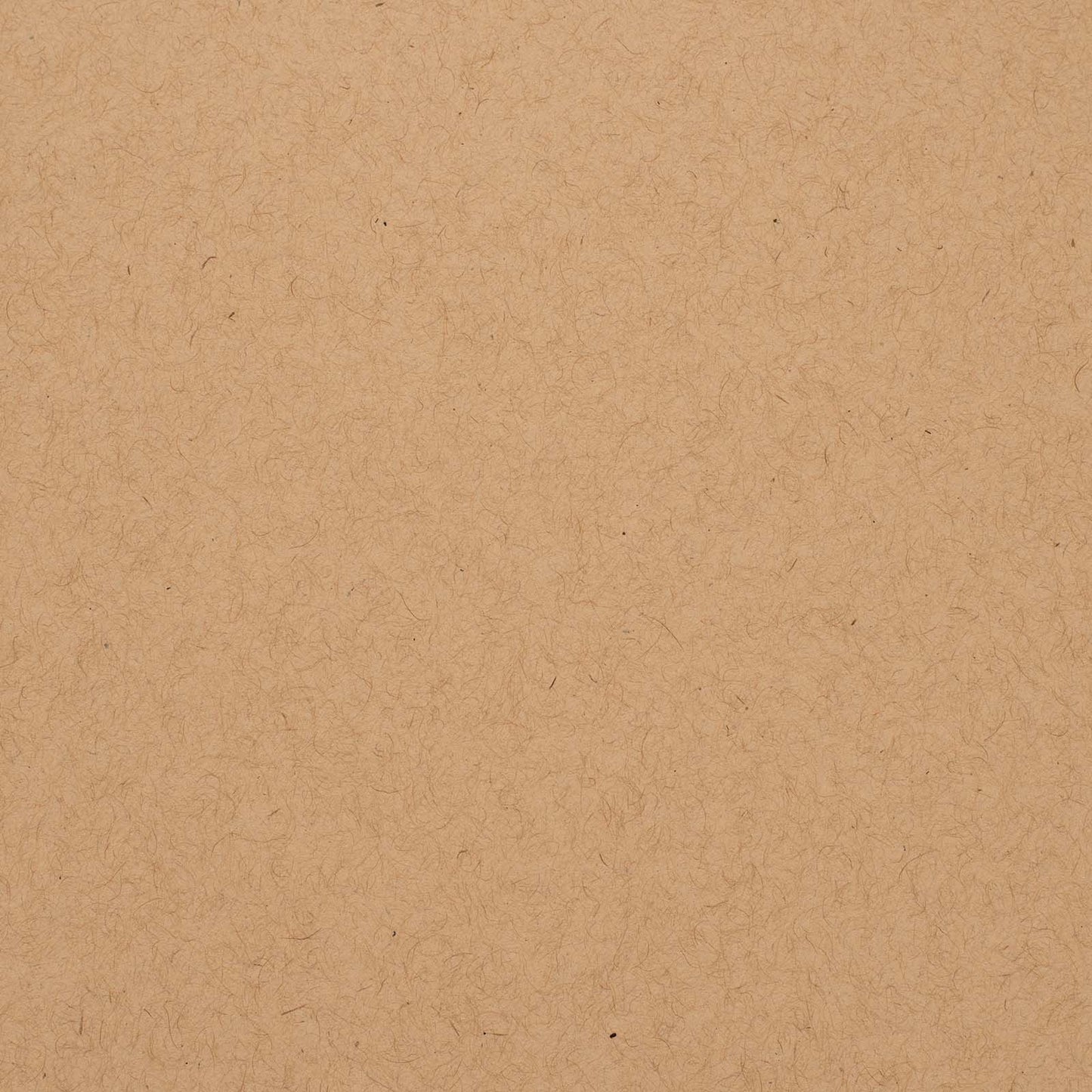 Bazzill Speckle Cardstock 12"X12"- Select Style