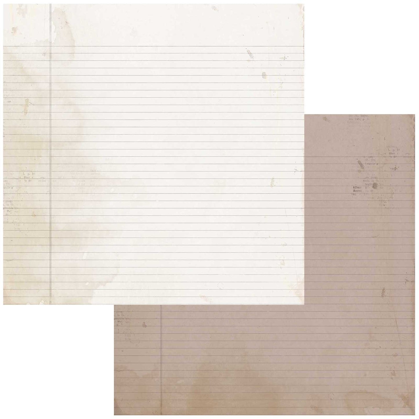 Nature Study Double-Sided Cardstock 12"X12"-Fusion
