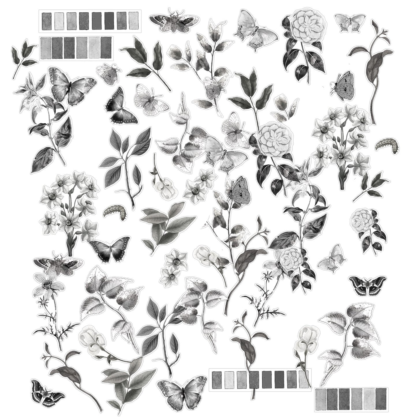 Color Swatch: Charcoal Acetate Assortment-