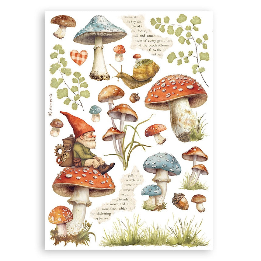 Stamperia A5 Washi Pad 8/Pkg-Hidden Grove