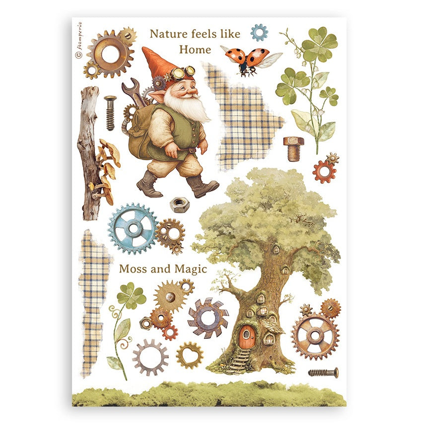 Stamperia A5 Washi Pad 8/Pkg-Hidden Grove