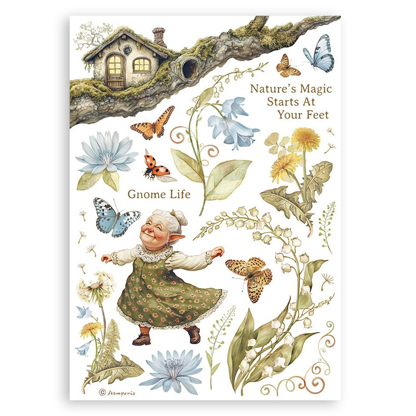 Stamperia A5 Washi Pad 8/Pkg-Hidden Grove