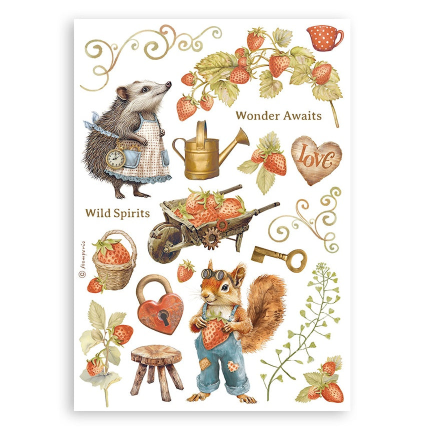 Stamperia A5 Washi Pad 8/Pkg-Hidden Grove