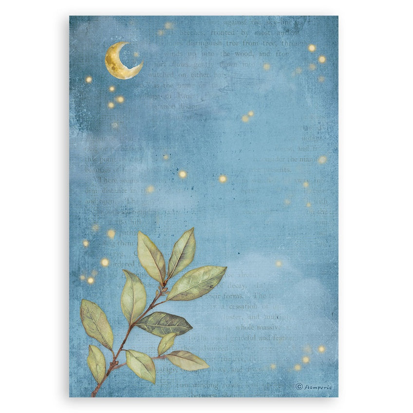 Stamperia A5 Washi Pad 8/Pkg-Hidden Grove