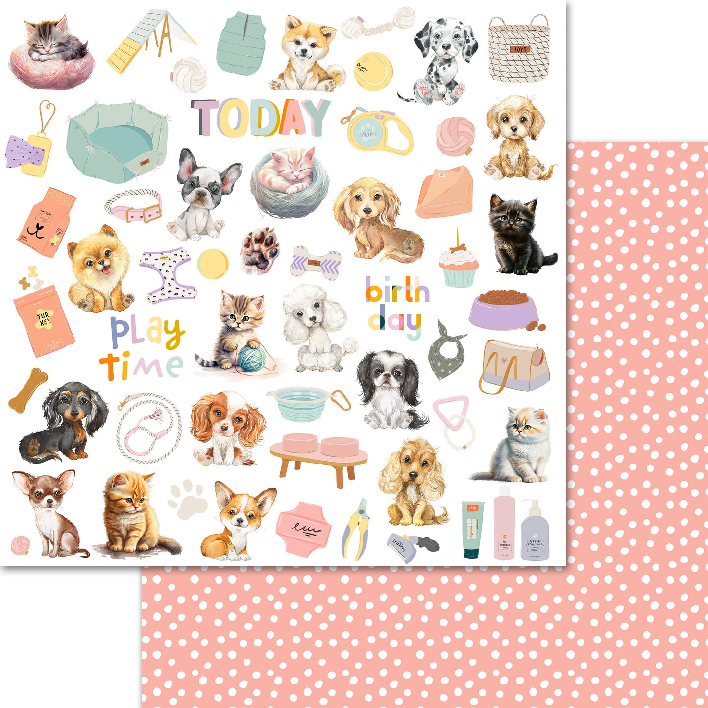 Memory Place Collection Pack 12"X12"-Pet Life