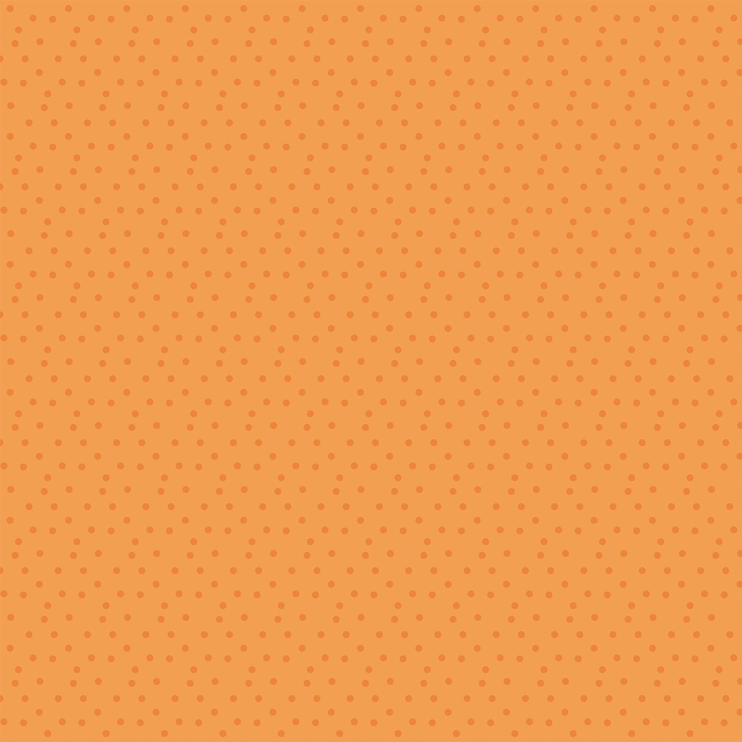 Echo Park Field Trip Double-Sided Cardstock 12X12"-Select Style