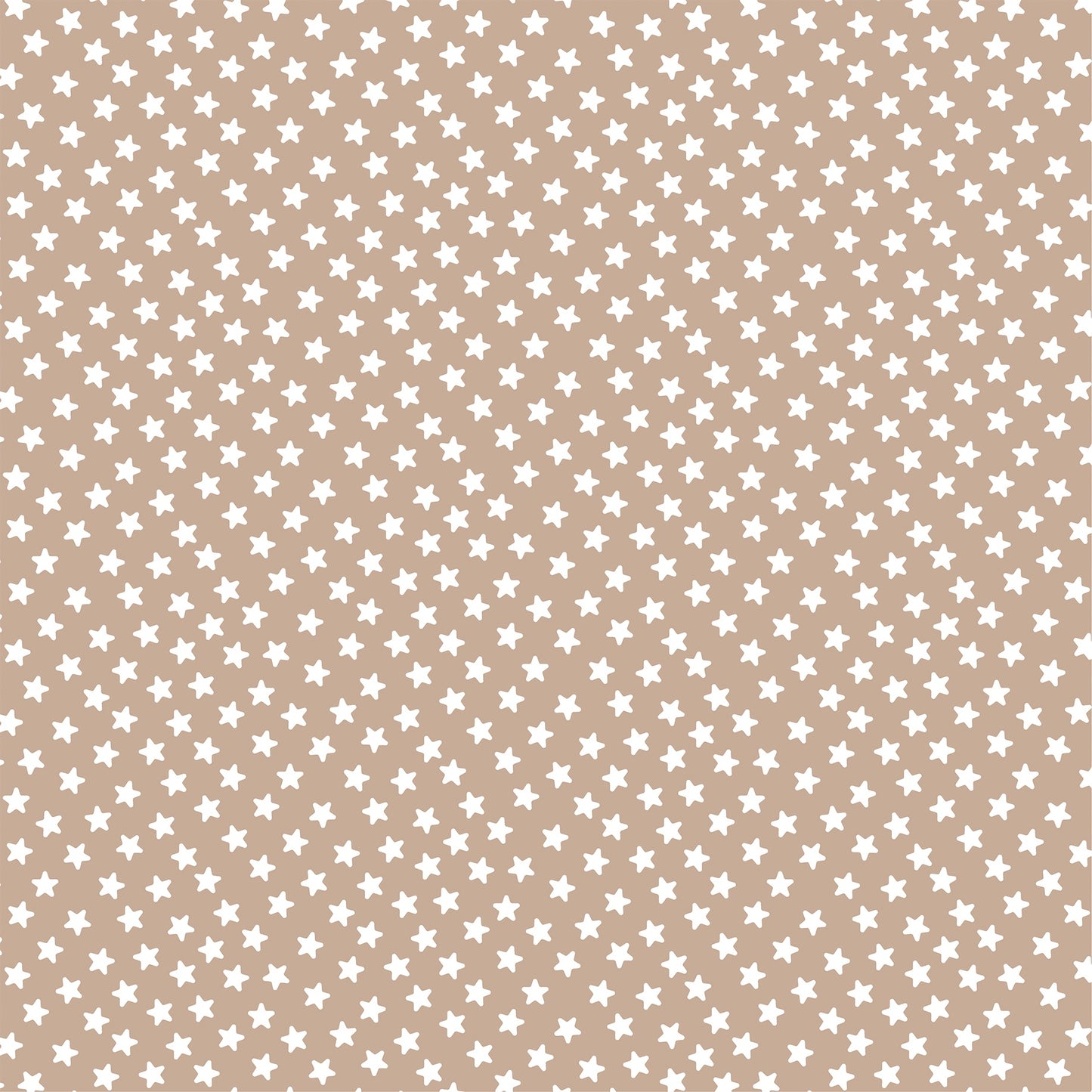 Echo Park My Favorite Monster Cardstock 12"X12"-Select Style