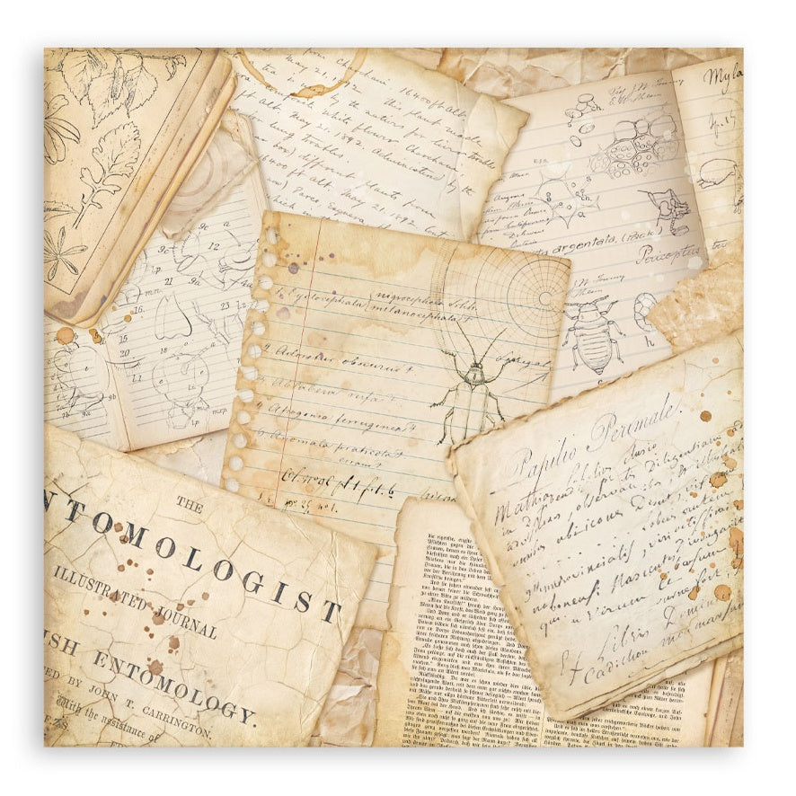 Stamperia Single-Sided Paper Pad 8"X8" 22/Pkg-All Around