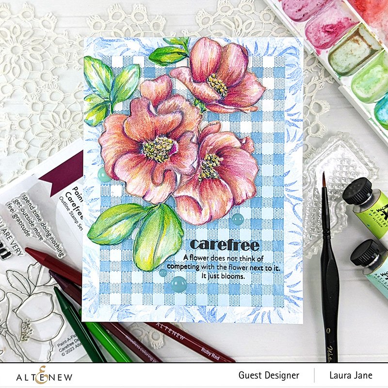 Paint-A--Flower: Carefree Delight Outline Stamp