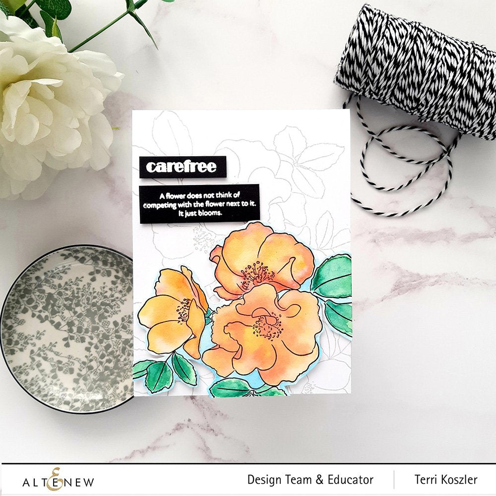Paint-A--Flower: Carefree Delight Outline Stamp