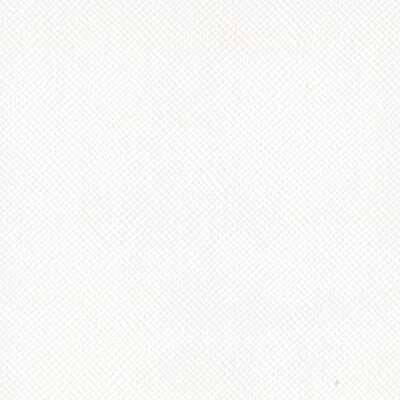 Bazzill Lily White 12 x 12 Cardstock (Pack of 25 sheets)