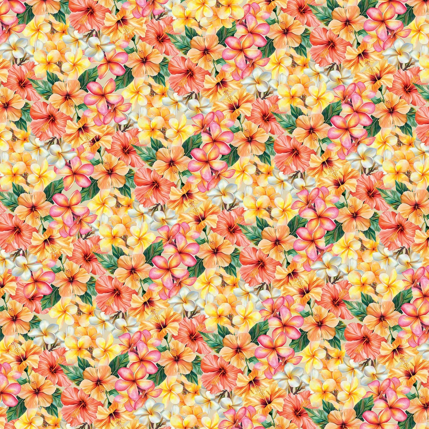 49 And Market Collection Pack 12"X12"-Beach Vibes