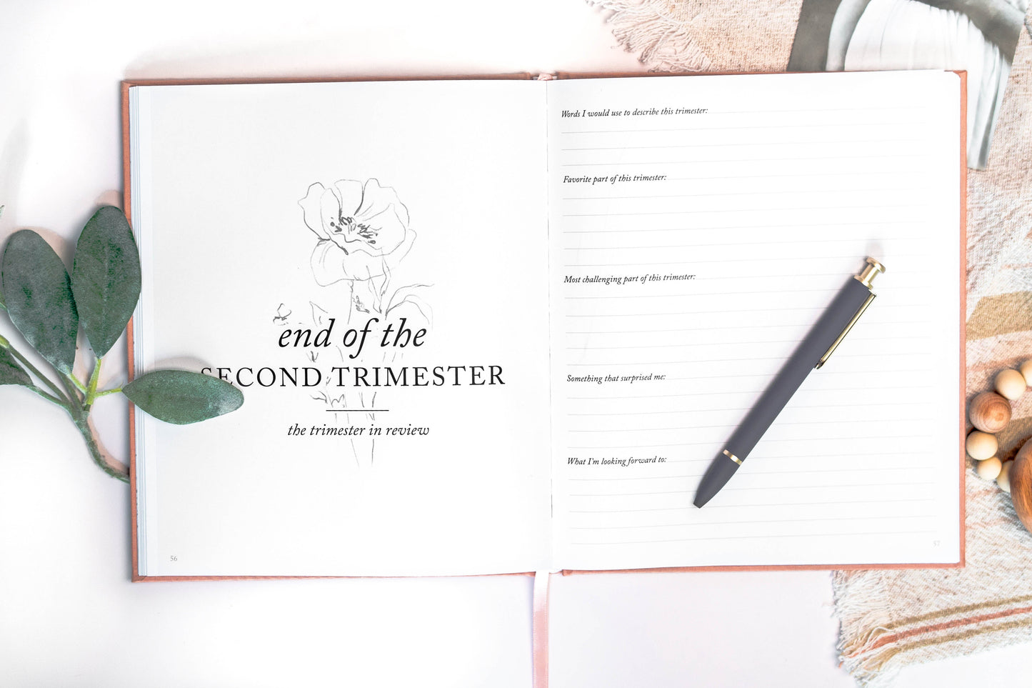 Pregnancy Journal