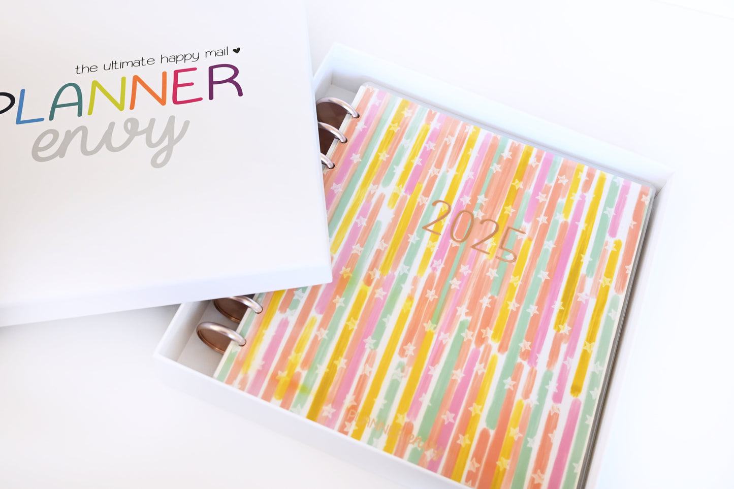 2025 Planner - Signature Layout, Disc Bound - "Stars & Stripes" (#810)