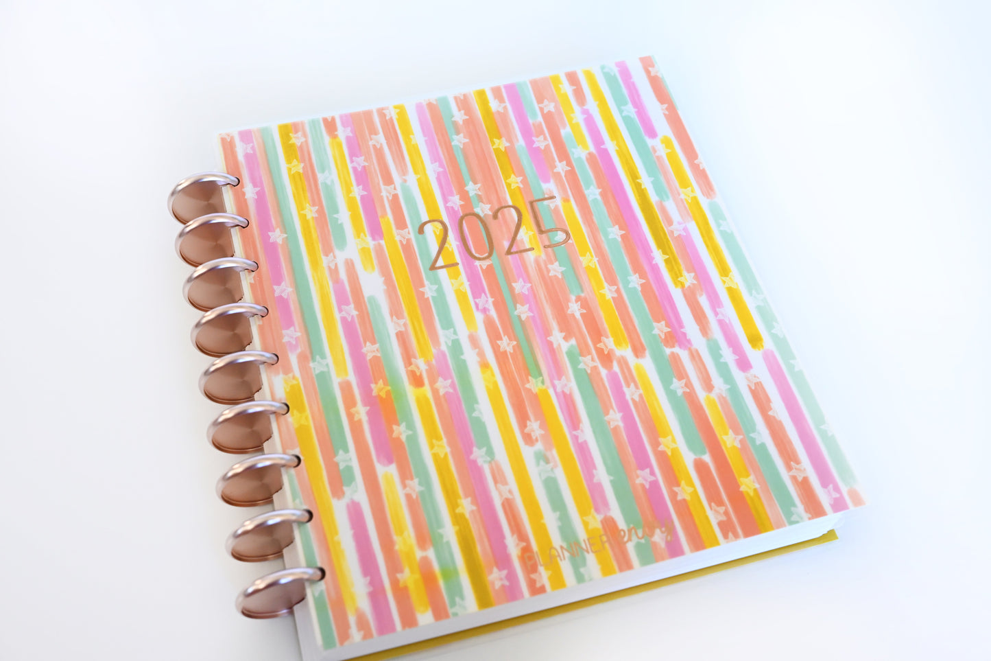 2025 Planner - Signature Layout, Disc Bound - "Stars & Stripes" (#810)