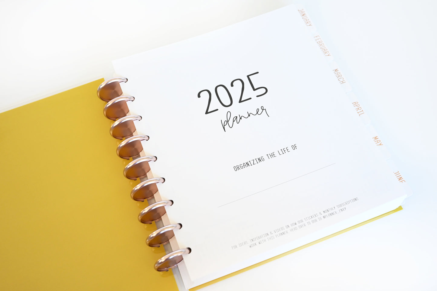 2025 Planner - Signature Layout, Disc Bound - "Stars & Stripes" (#810)