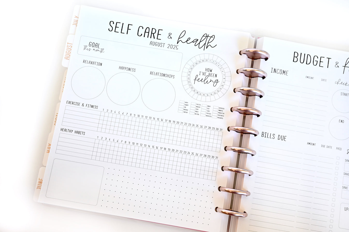 2025 Planner - Signature Layout, Disc Bound - "Stars & Stripes" (#810)