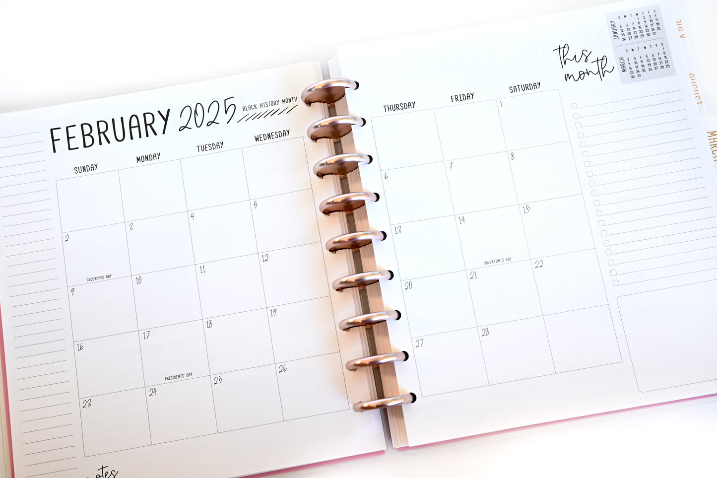 2025 Planner - Signature Layout, Disc Bound - "Stars & Stripes" (#810)