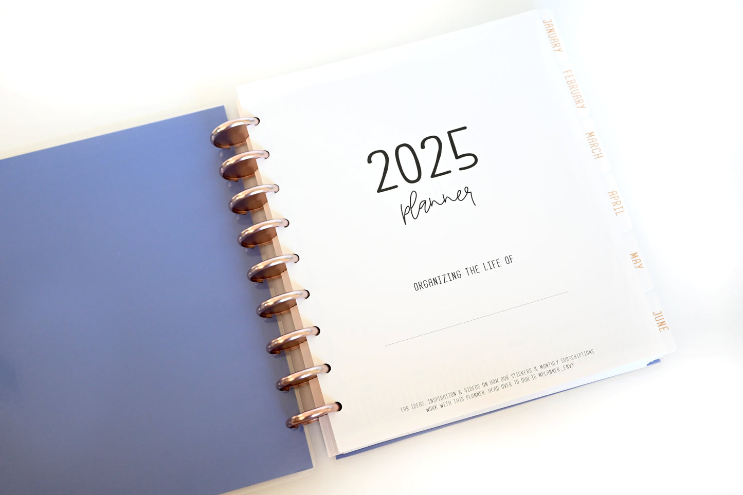2025 Planner - Mini Signature Layout, Disc Bound - "Butterfly Doodles" (#1109)