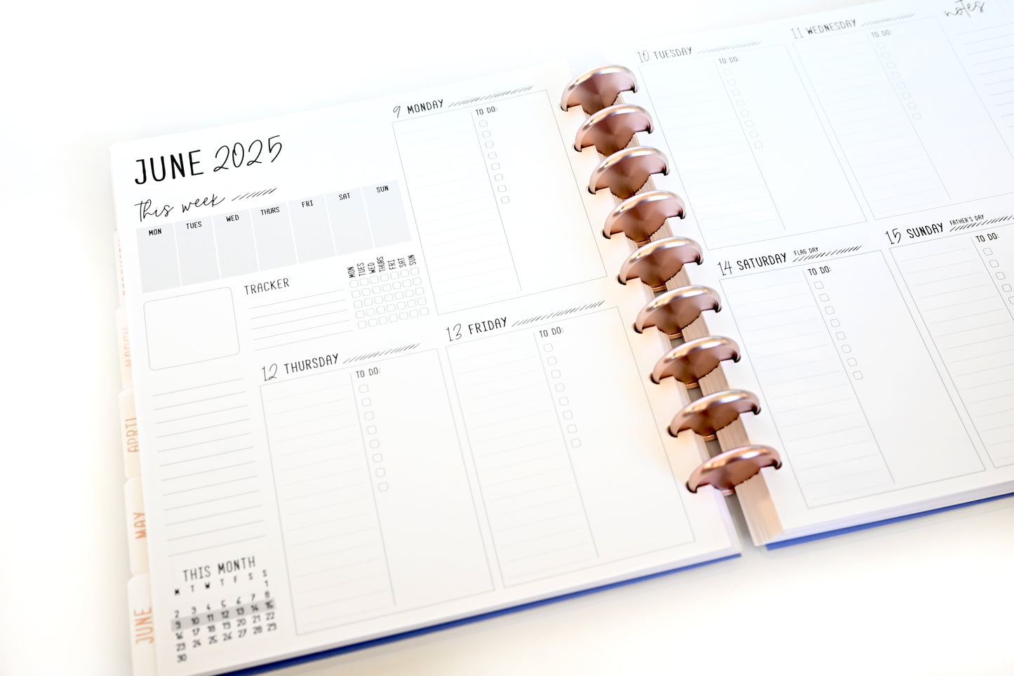 2025 Planner - Signature Layout, Disc Bound - "Stars & Stripes" (#810)