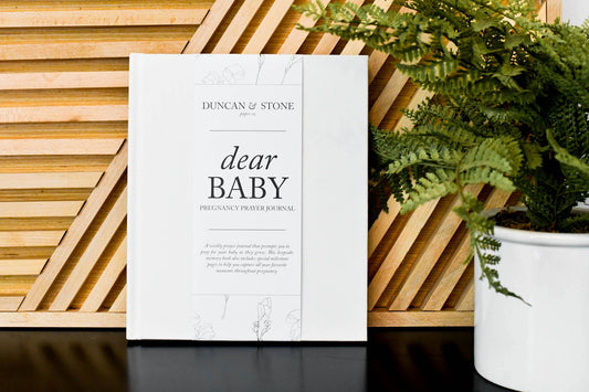 Dear Baby: Pregnancy Prayer Journal