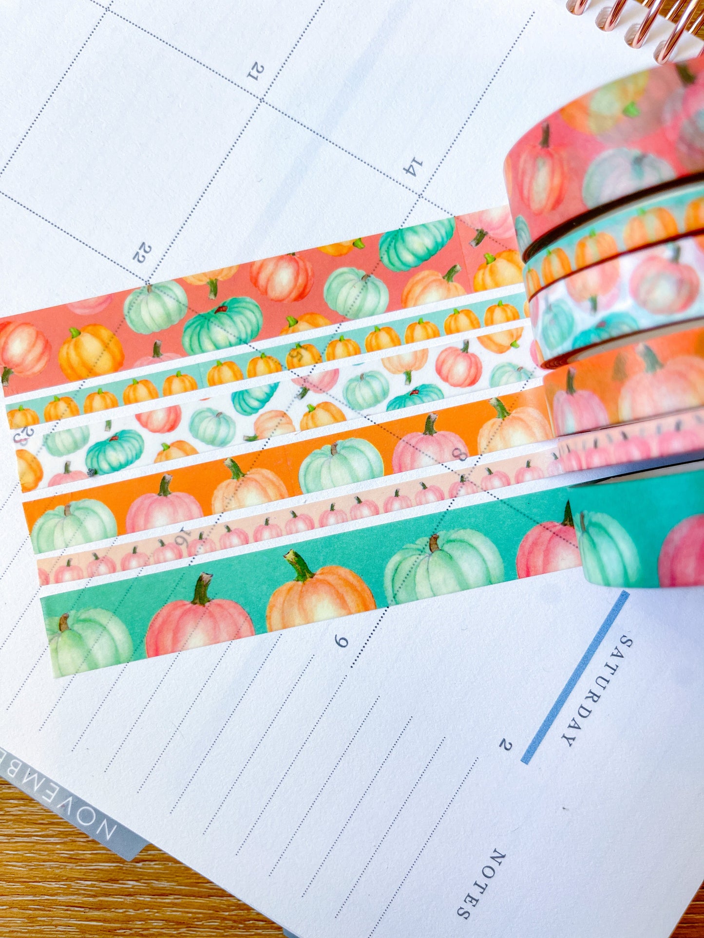 Pastel Boho Teal Pink & Orange Pumpkins Washi Tape Set (#W068)