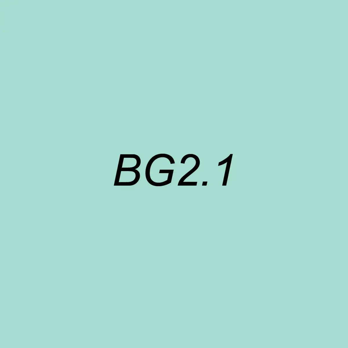 OLO Brush BG2.1 Sea Glass