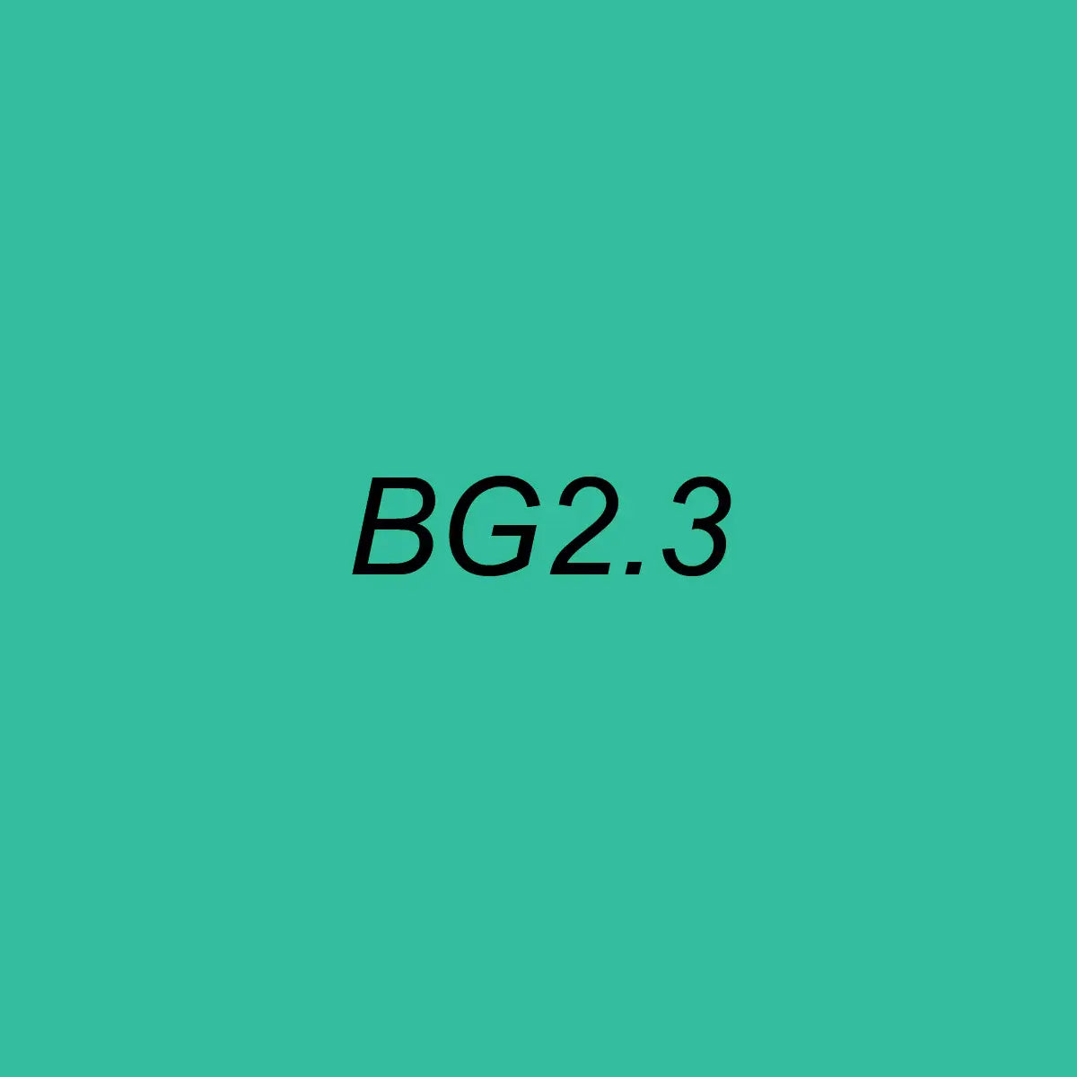 OLO Brush BG2.3 Aqua Green