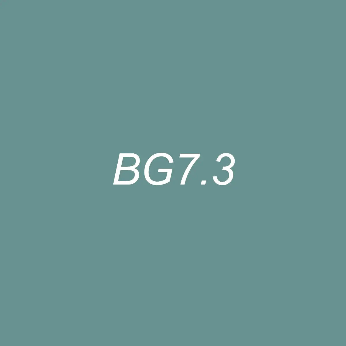 OLO Brush BG7.3 Blue Spruce